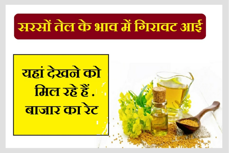 today-mustard-oil-price